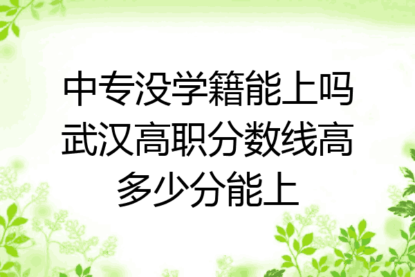 中专没学籍能上吗武汉高职分数线高多少分能上