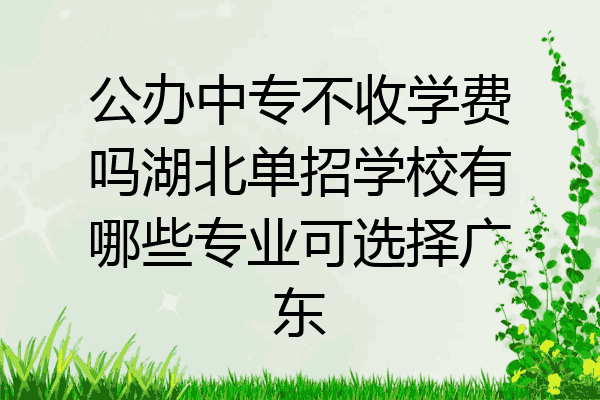 公办中专不收学费吗湖北单招学校有哪些专业可选择广东