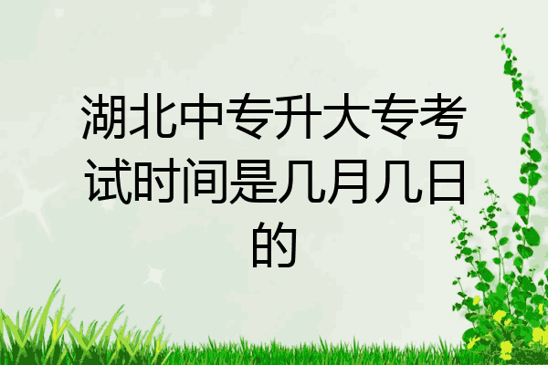 湖北中专升大专考试时间是几月几日的