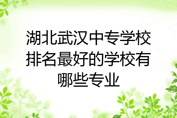 湖北武汉中专学校排名最好的学校有哪些专业