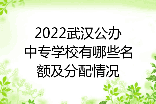 2022武汉公办中专学校有哪些名额及分配情况
