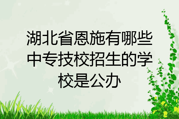 湖北省恩施有哪些中专技校招生的学校是公办