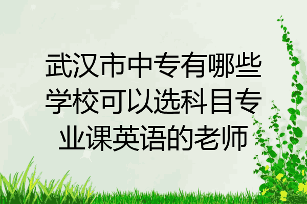武汉市中专有哪些学校可以选科目专业课英语的老师