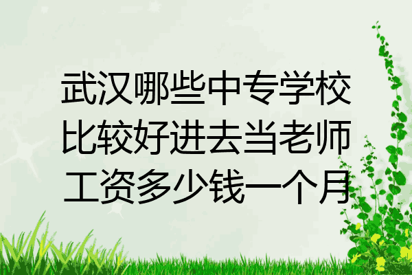 武汉哪些中专学校比较好进去当老师工资多少钱一个月