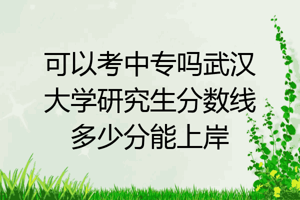 可以考中专吗武汉大学研究生分数线多少分能上岸