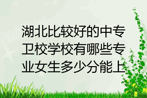 湖北比较好的中专卫校学校有哪些专业女生多少分能上