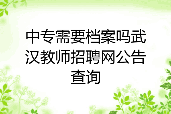 中专需要档案吗武汉教师招聘网公告查询