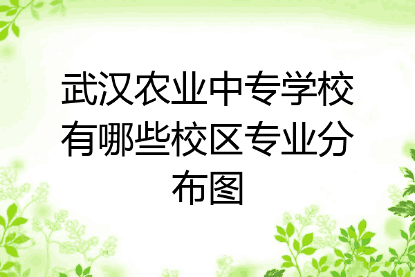 武汉农业中专学校有哪些校区专业分布图