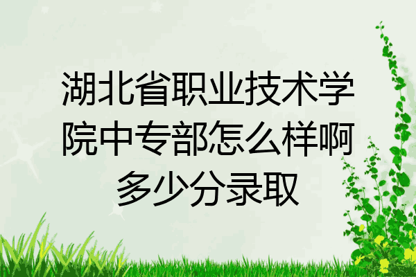 湖北省职业技术学院中专部怎么样啊多少分录取