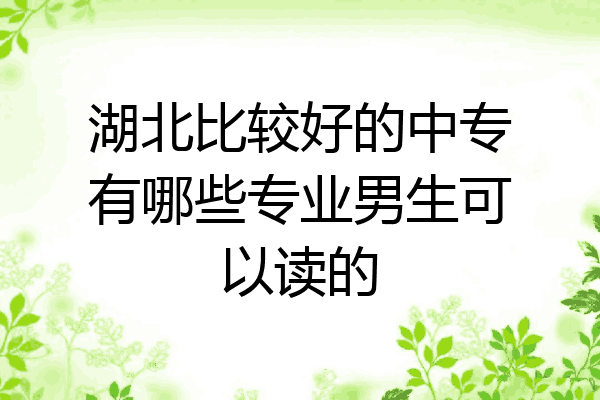 湖北比较好的中专有哪些专业男生可以读的