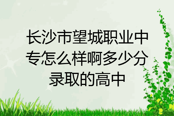 长沙市望城职业中专怎么样啊多少分录取的高中