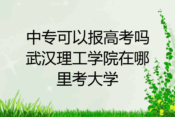 中专可以报高考吗武汉理工学院在哪里考大学