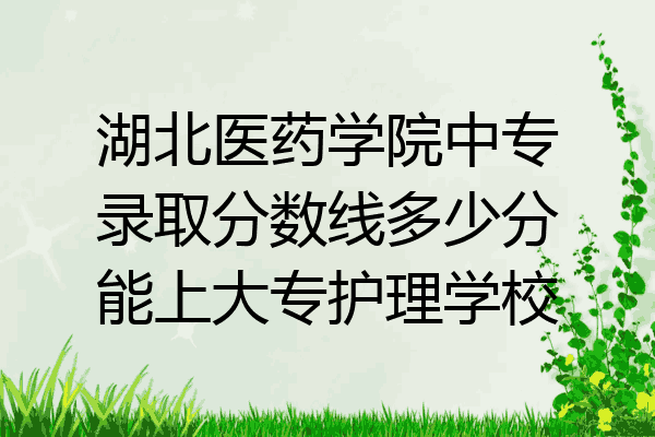 湖北医药学院中专录取分数线多少分能上大专护理学校