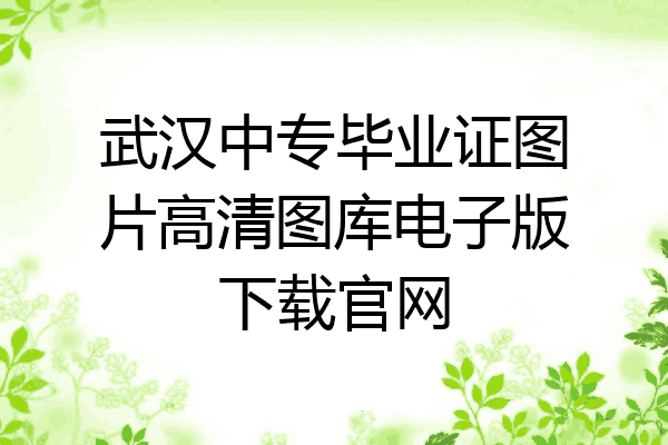 武汉中专毕业证图片高清图库电子版下载官网