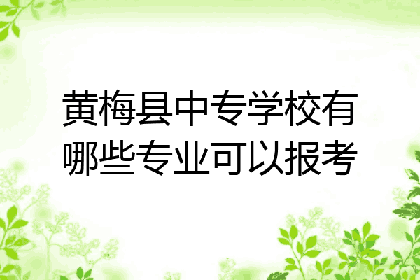 黄梅县中专学校有哪些专业可以报考