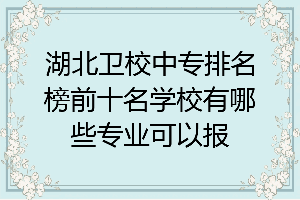 湖北卫校中专排名榜前十名学校有哪些专业可以报