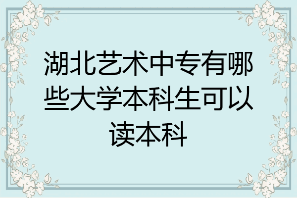 湖北艺术中专有哪些大学本科生可以读本科