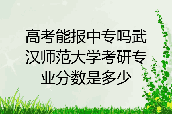 高考能报中专吗武汉师范大学考研专业分数是多少