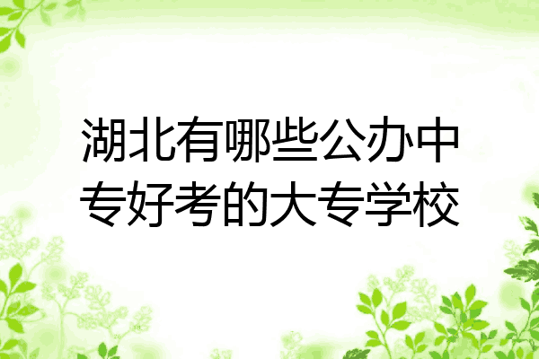 湖北有哪些公办中专好考的大专学校