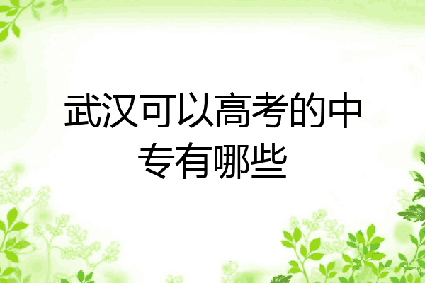 武汉可以高考的中专有哪些