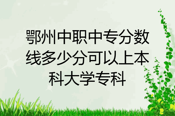 鄂州中职中专分数线多少分可以上本科大学专科