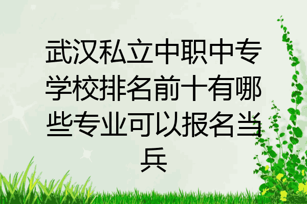 武汉私立中职中专学校排名前十有哪些专业可以报名当兵