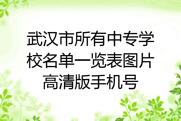 武汉市所有中专学校名单一览表图片高清版手机号