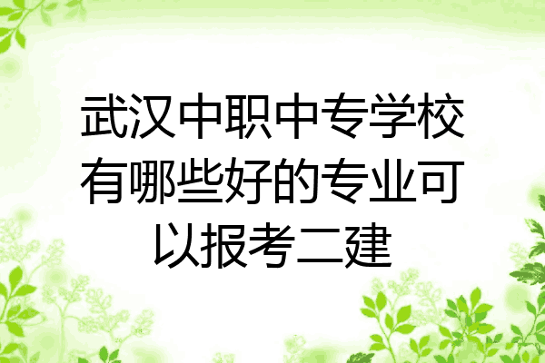 武汉中职中专学校有哪些好的专业可以报考二建