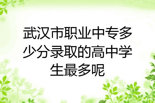 武汉市职业中专多少分录取的高中学生最多呢