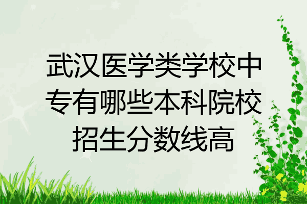 武汉医学类学校中专有哪些本科院校招生分数线高