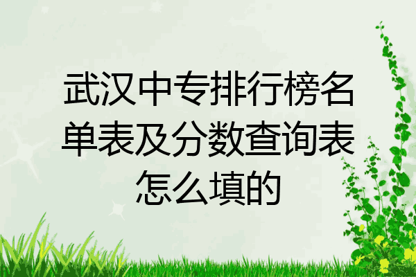 武汉中专排行榜名单表及分数查询表怎么填的