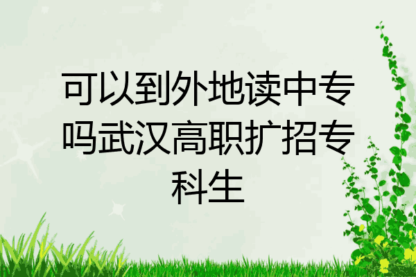 可以到外地读中专吗武汉高职扩招专科生