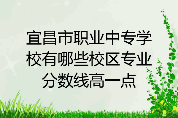 宜昌市职业中专学校有哪些校区专业分数线高一点