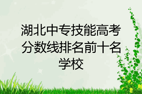 湖北中专技能高考分数线排名前十名学校