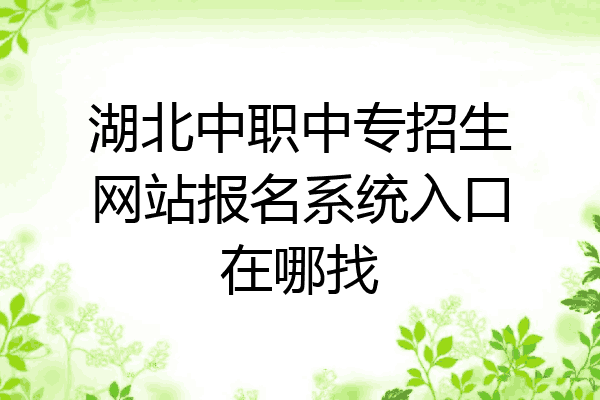 湖北中职中专招生网站报名系统入口在哪找