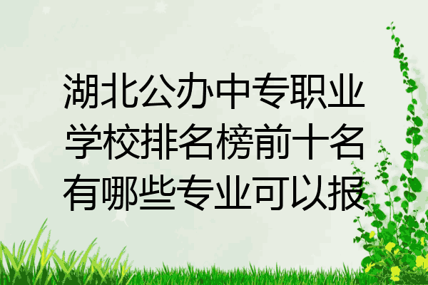 湖北公办中专职业学校排名榜前十名有哪些专业可以报