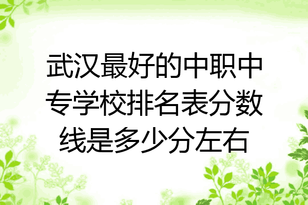 武汉最好的中职中专学校排名表分数线是多少分左右