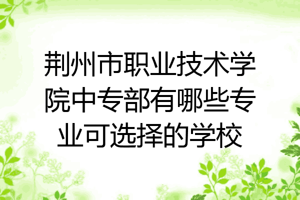 荆州市职业技术学院中专部有哪些专业可选择的学校
