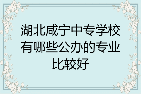 湖北咸宁中专学校有哪些公办的专业比较好