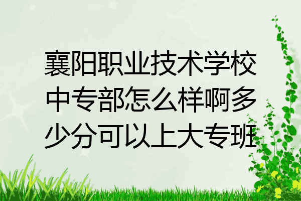 襄阳职业技术学校中专部怎么样啊多少分可以上大专班