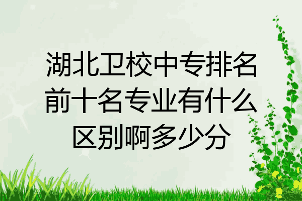 湖北卫校中专排名前十名专业有什么区别啊多少分