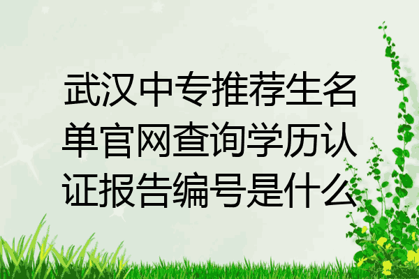 武汉中专推荐生名单官网查询学历认证报告编号是什么