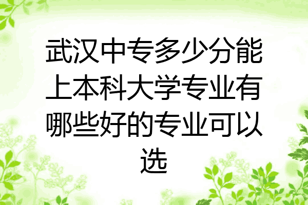 武汉中专多少分能上本科大学专业有哪些好的专业可以选