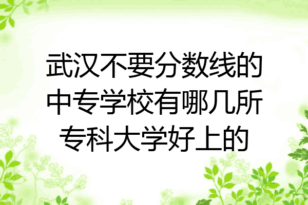 武汉不要分数线的中专学校有哪几所专科大学好上的