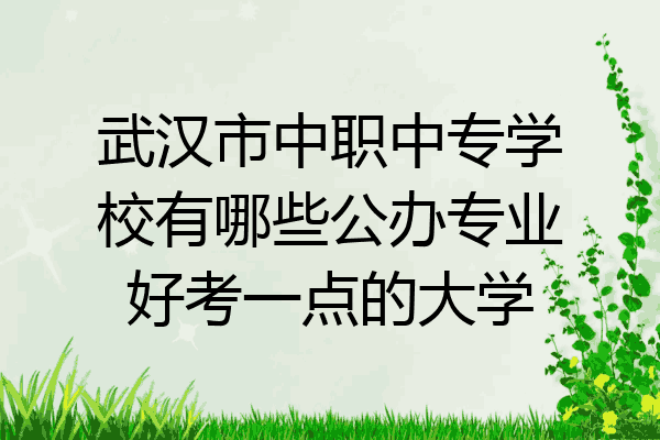 武汉市中职中专学校有哪些公办专业好考一点的大学
