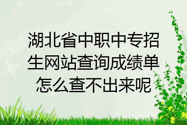 湖北省中职中专招生网站查询成绩单怎么查不出来呢