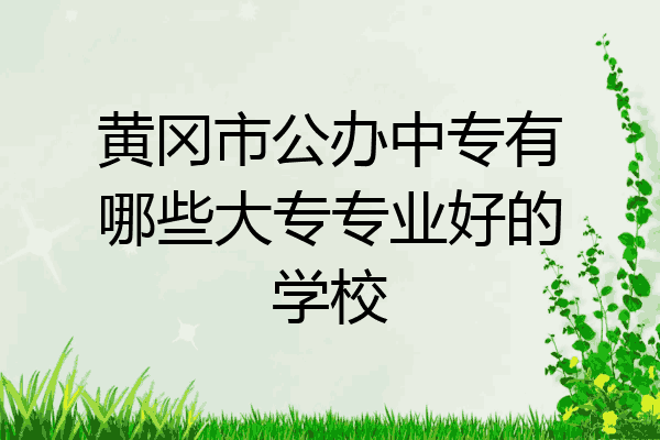 黄冈市公办中专有哪些大专专业好的学校