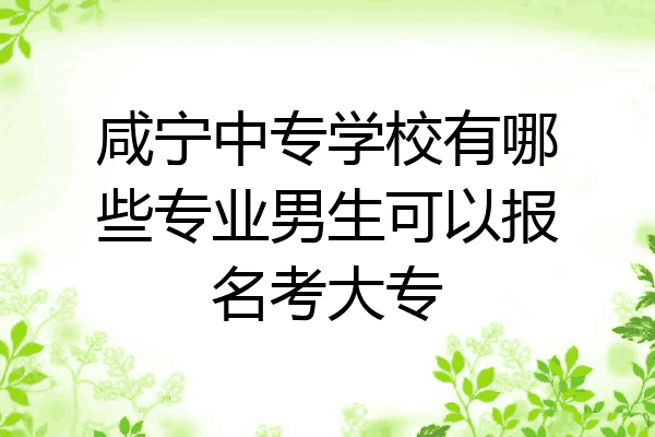 咸宁中专学校有哪些专业男生可以报名考大专