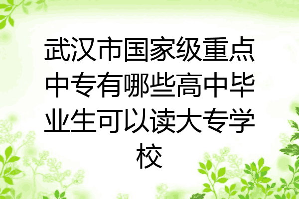 武汉市国家级重点中专有哪些高中毕业生可以读大专学校