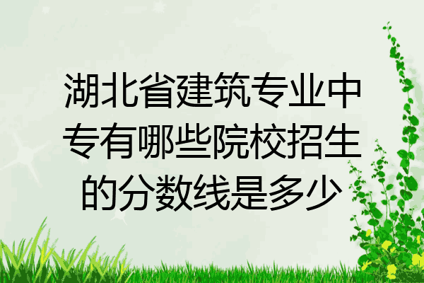 湖北省建筑专业中专有哪些院校招生的分数线是多少